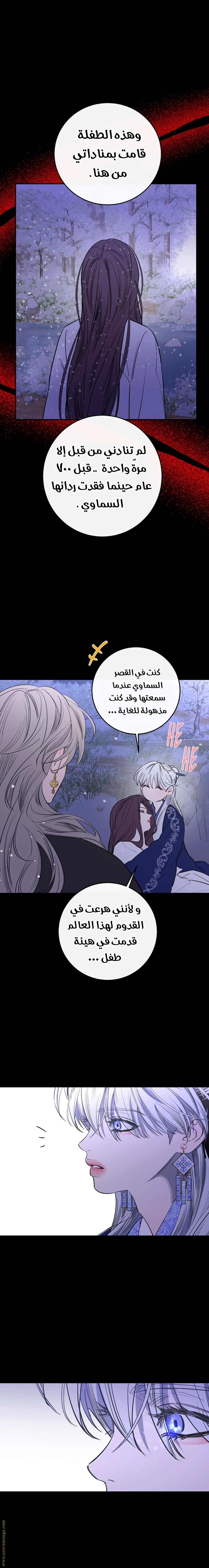 الصفحة 20