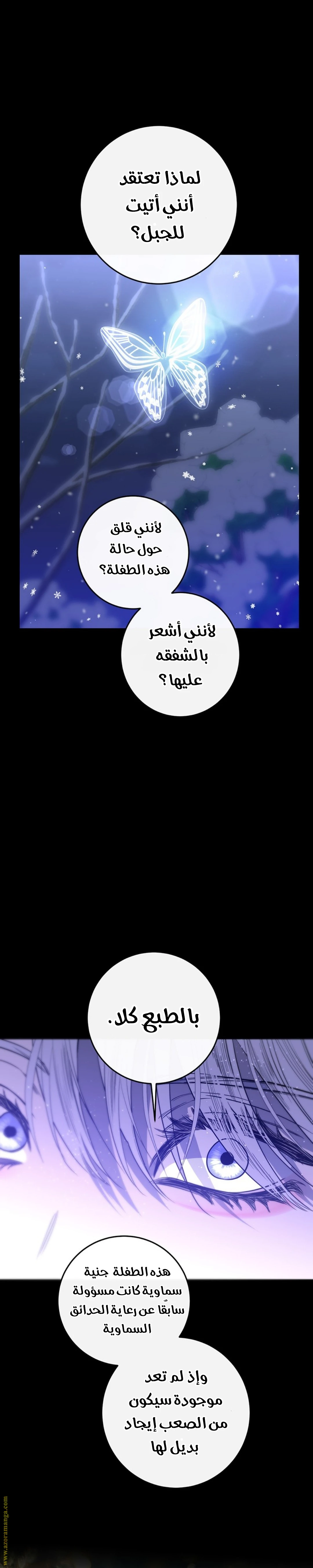 الصفحة 24