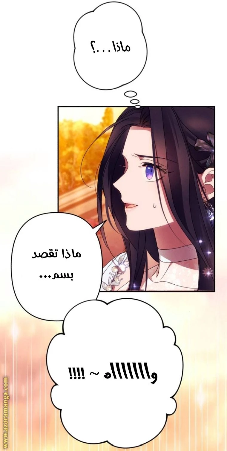 الصفحة 21