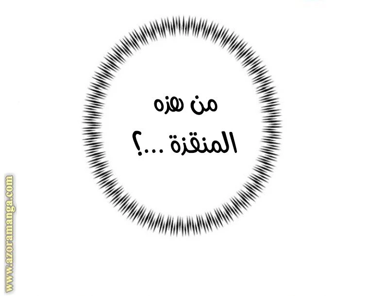 الصفحة 47