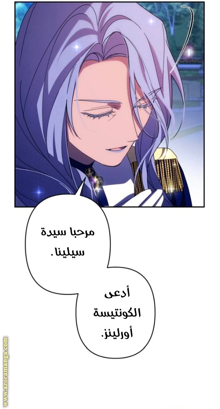 الصفحة 48