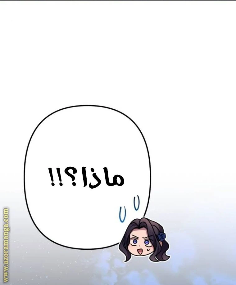 الصفحة 67