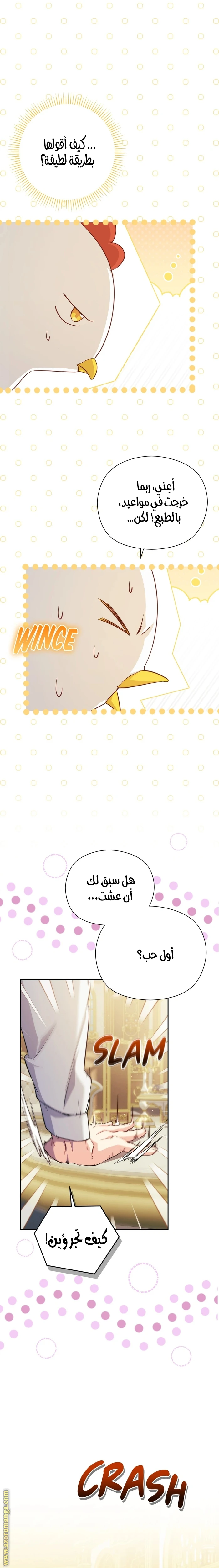الصفحة 3