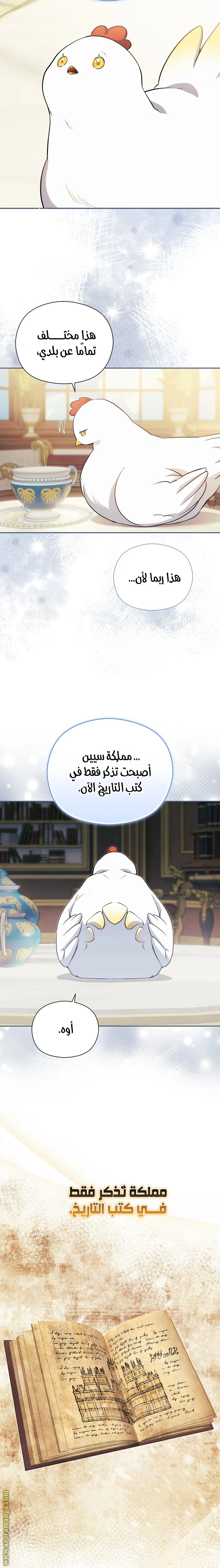الصفحة 11