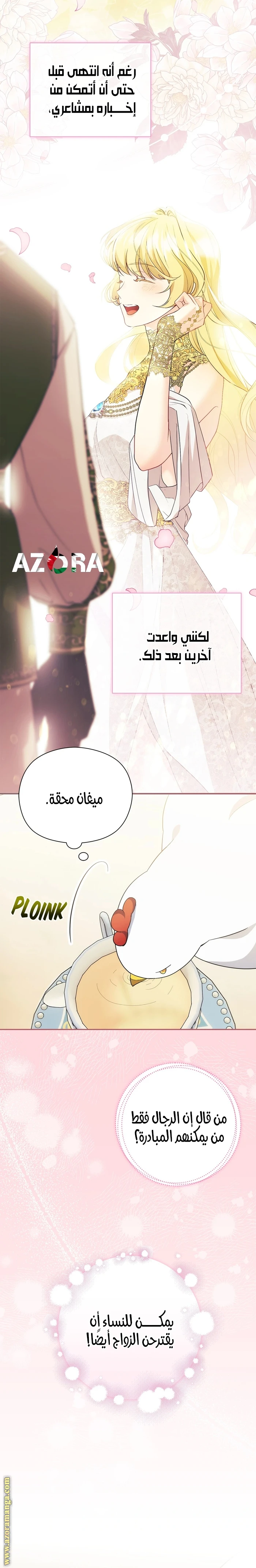الصفحة 13
