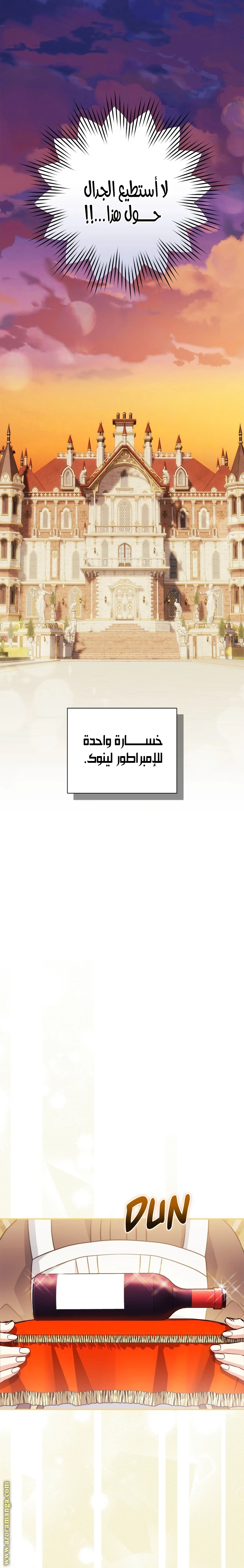 الصفحة 17