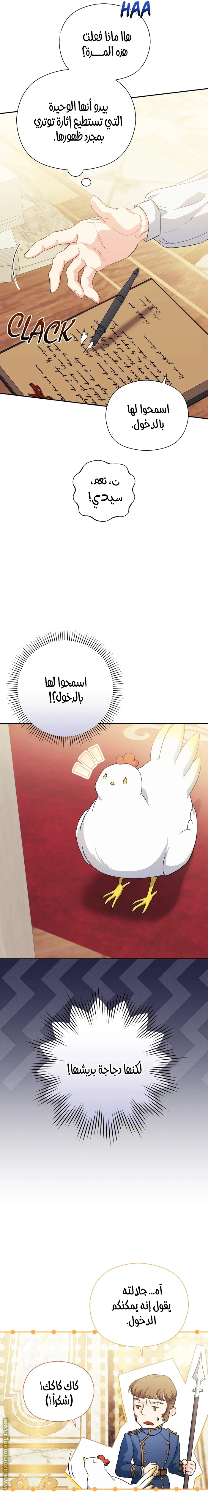 الصفحة 24