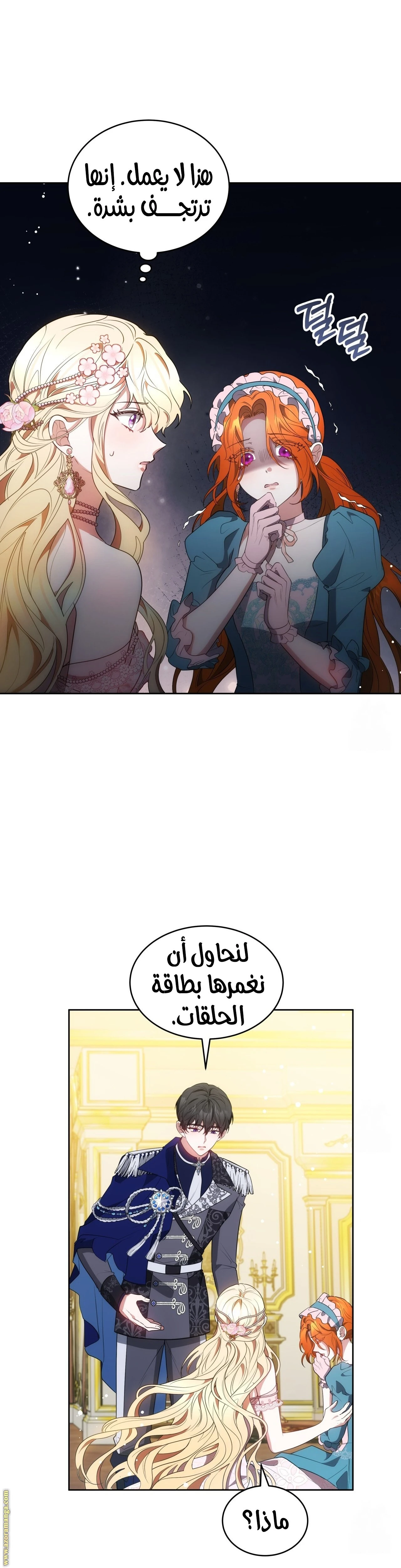 الصفحة 30