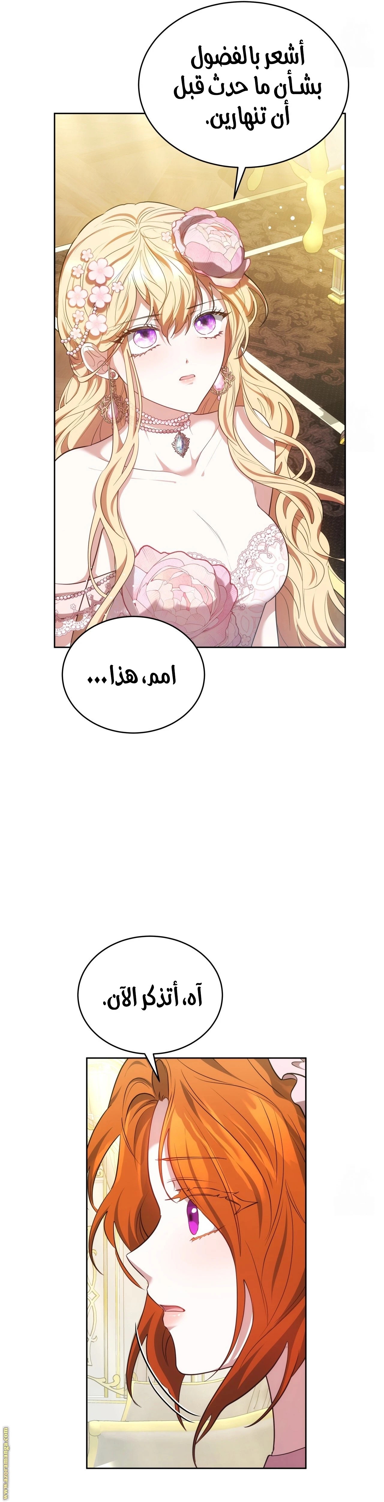 الصفحة 42