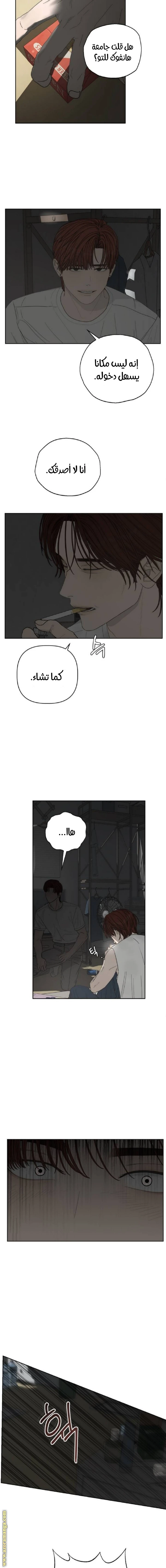 الصفحة 6