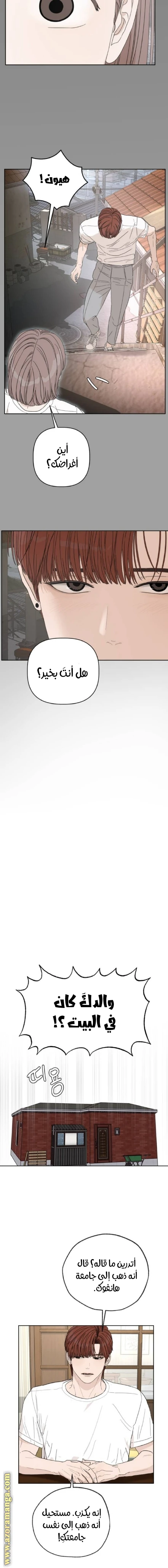 الصفحة 13