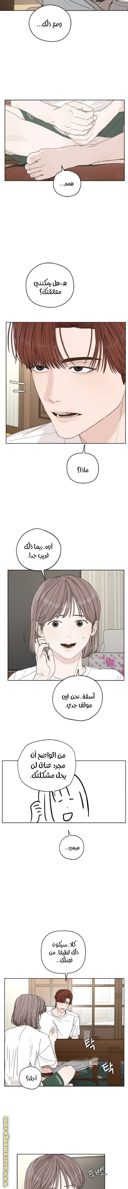 الصفحة 17