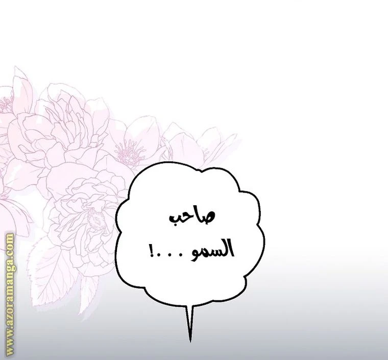 الصفحة 42