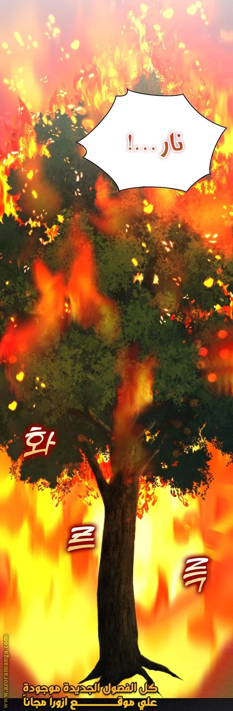 الصفحة 47