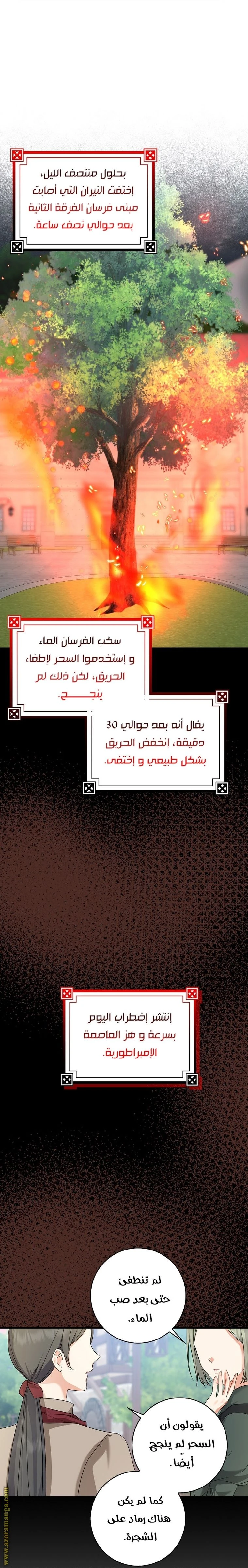 الصفحة 49