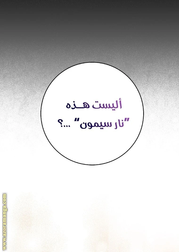 الصفحة 50