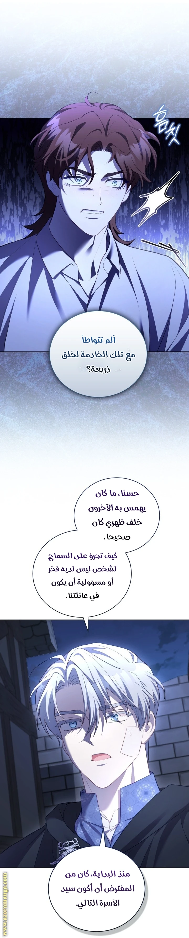 الصفحة 17