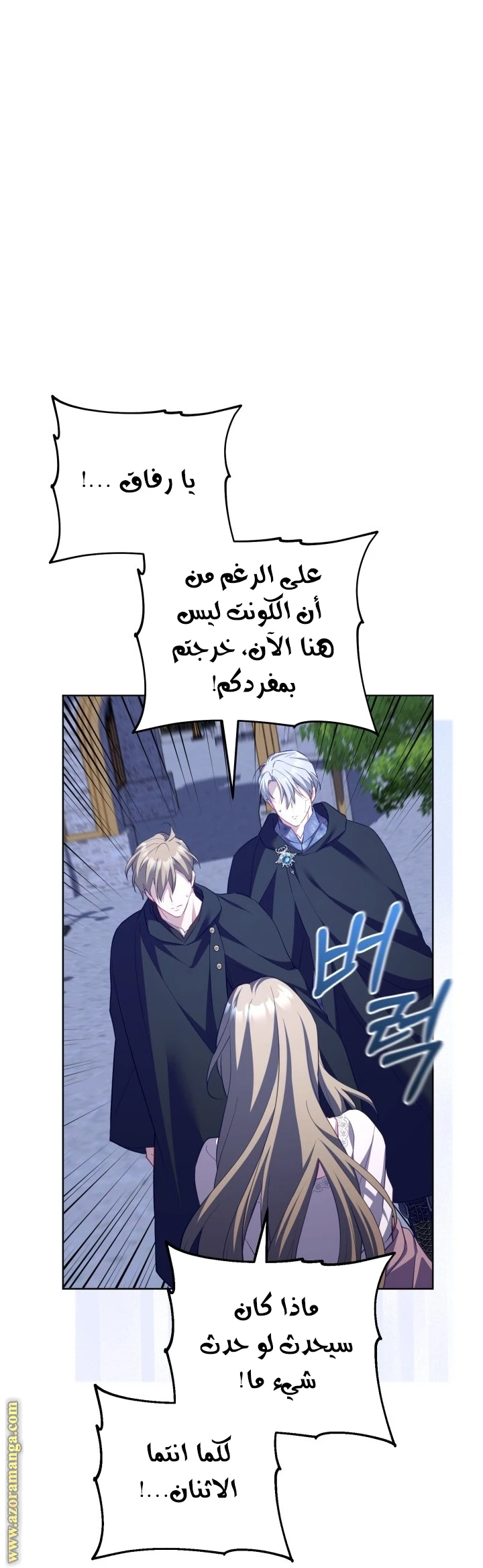 الصفحة 25