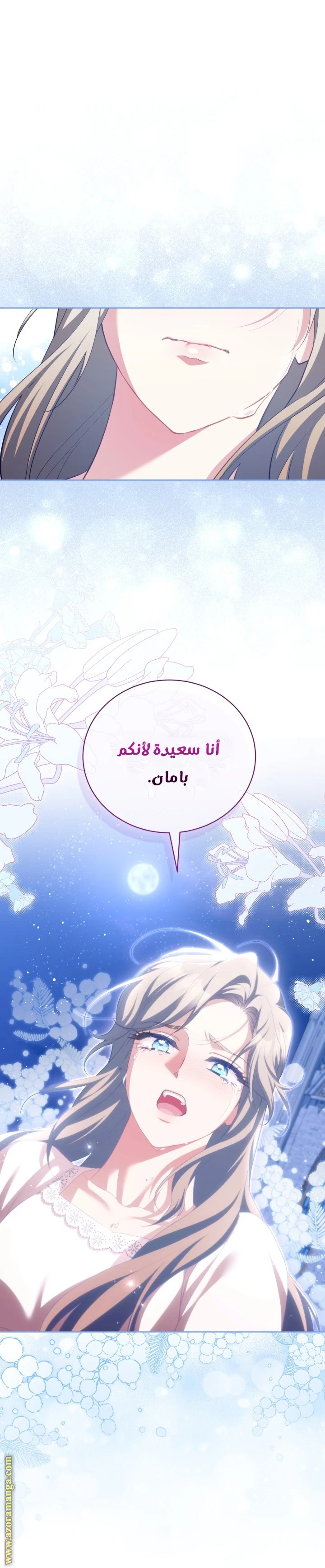 الصفحة 26