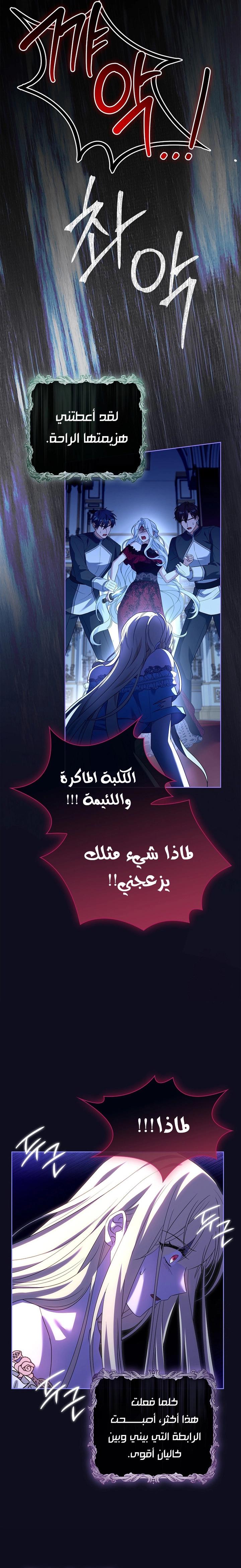 الصفحة 22