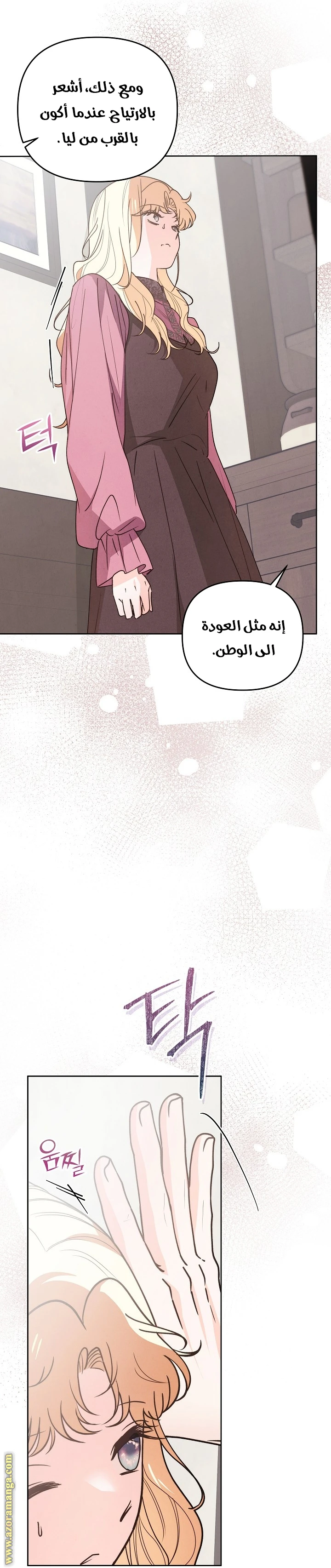 الصفحة 17