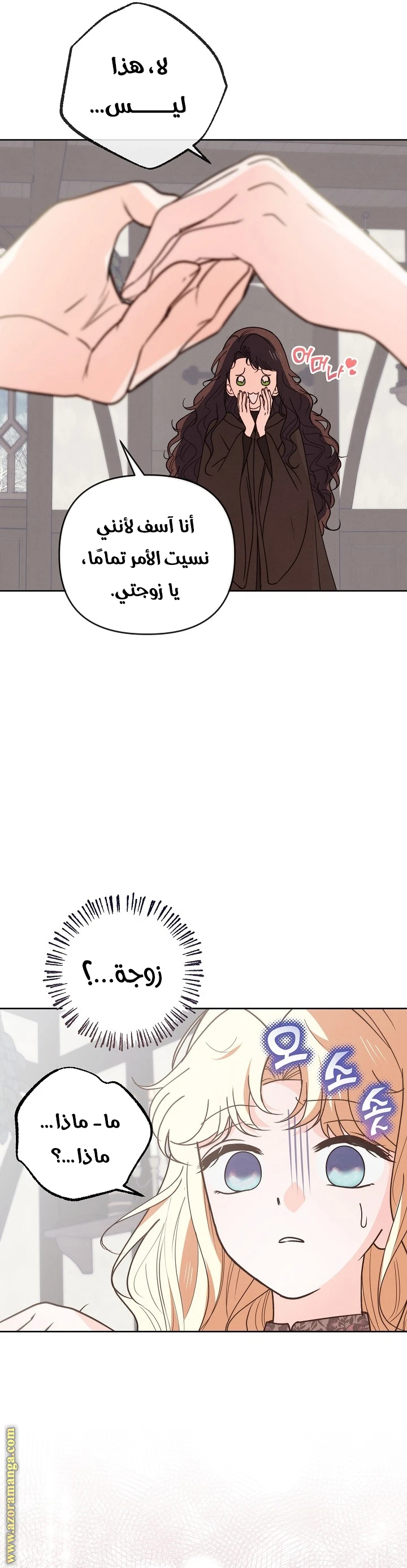 الصفحة 26