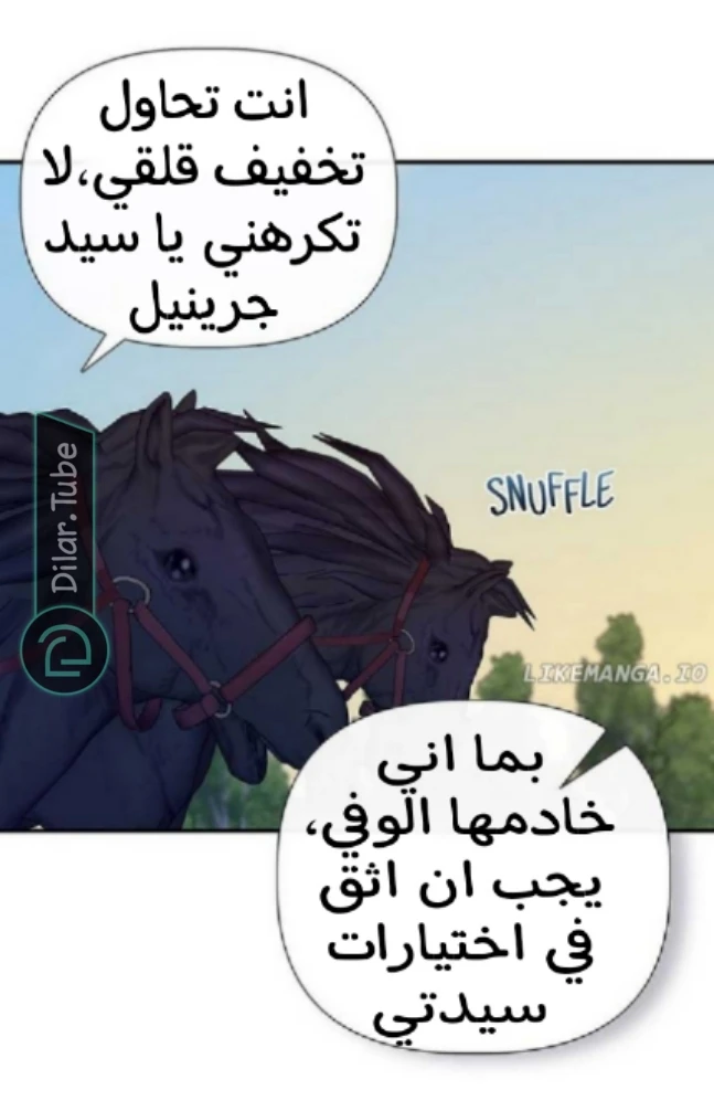 الصفحة 40