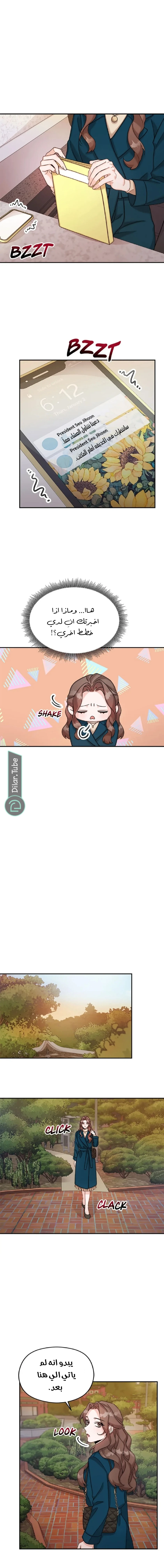 الصفحة 11