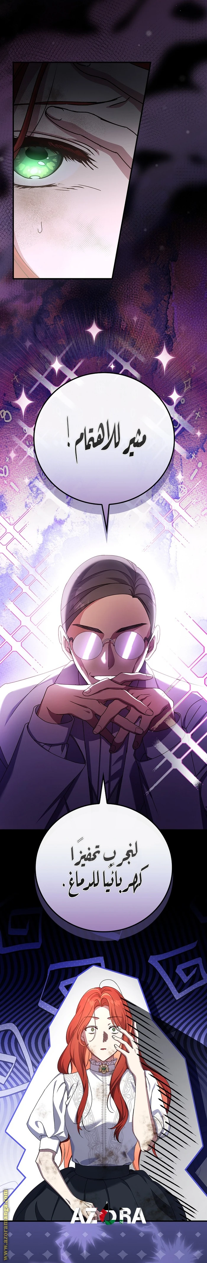 الصفحة 17