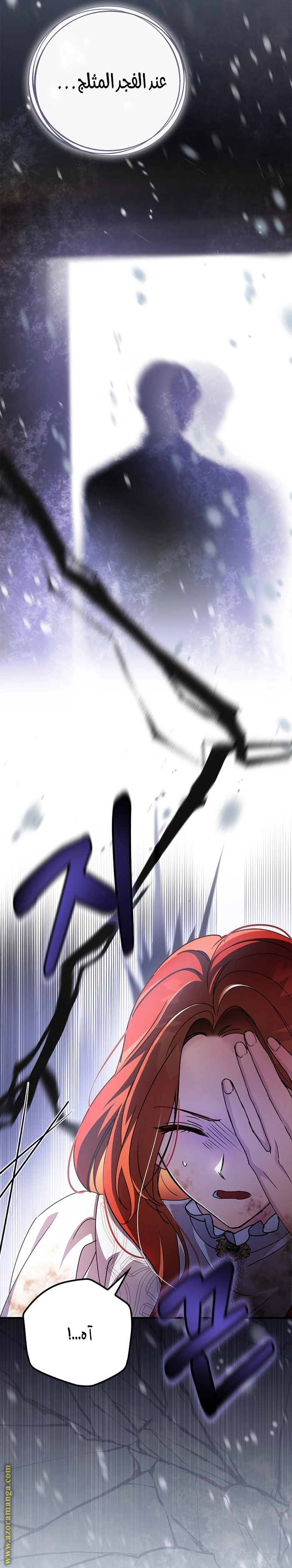 الصفحة 27