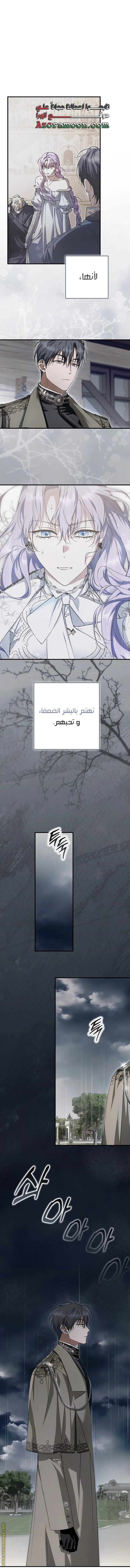 الصفحة 21