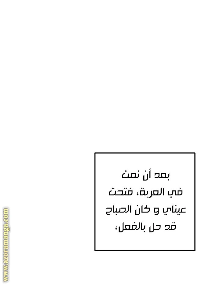 الصفحة 27