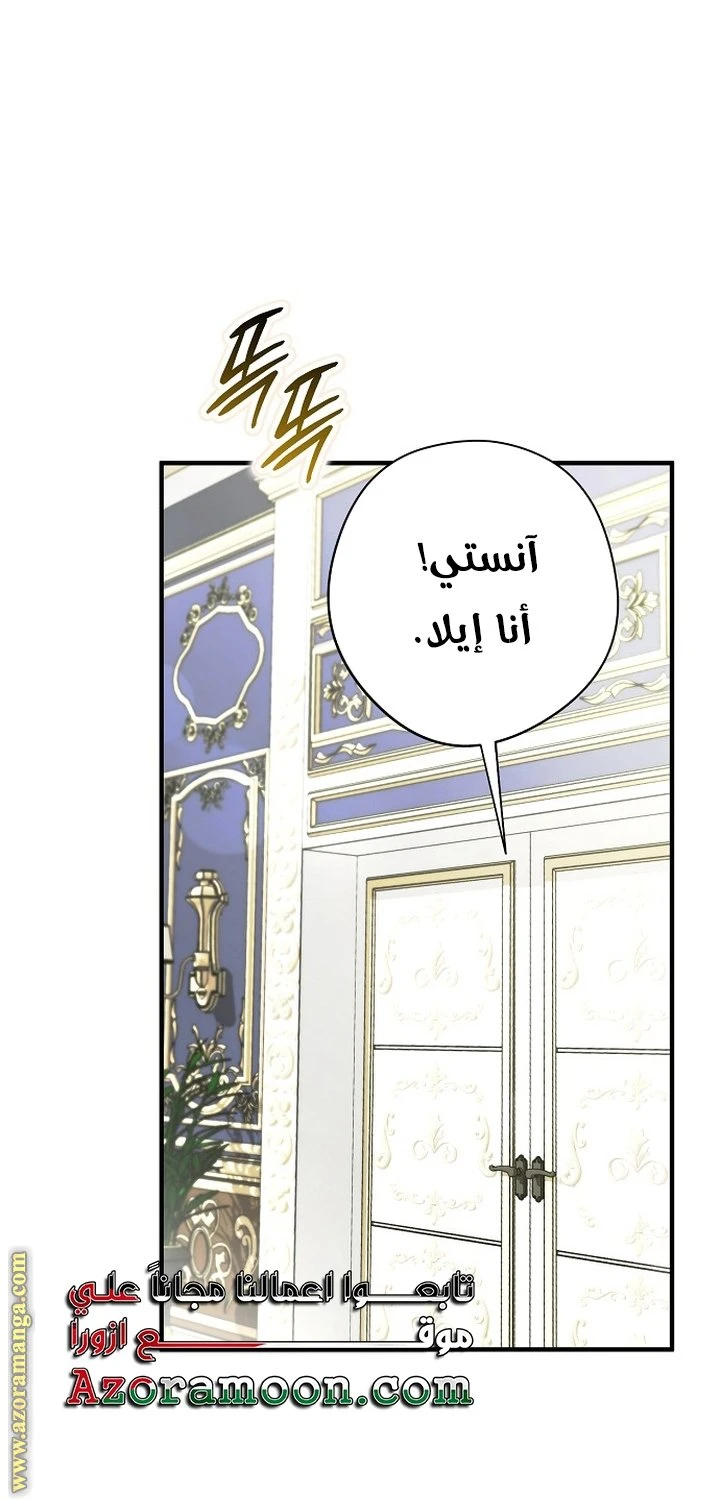 الصفحة 29