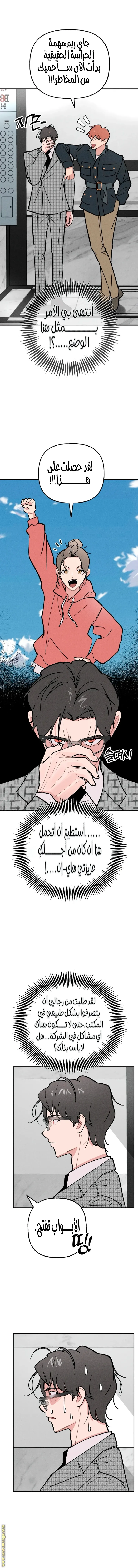 الصفحة 6