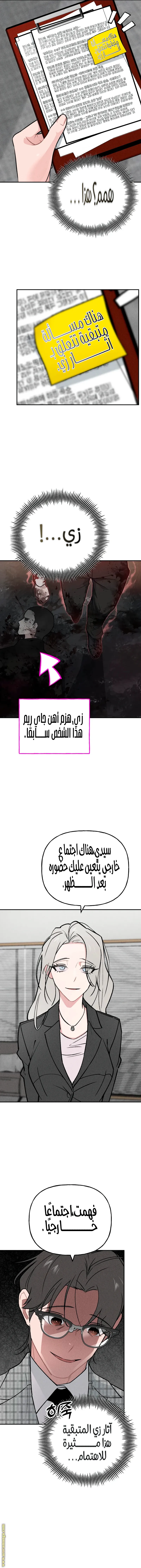 الصفحة 12