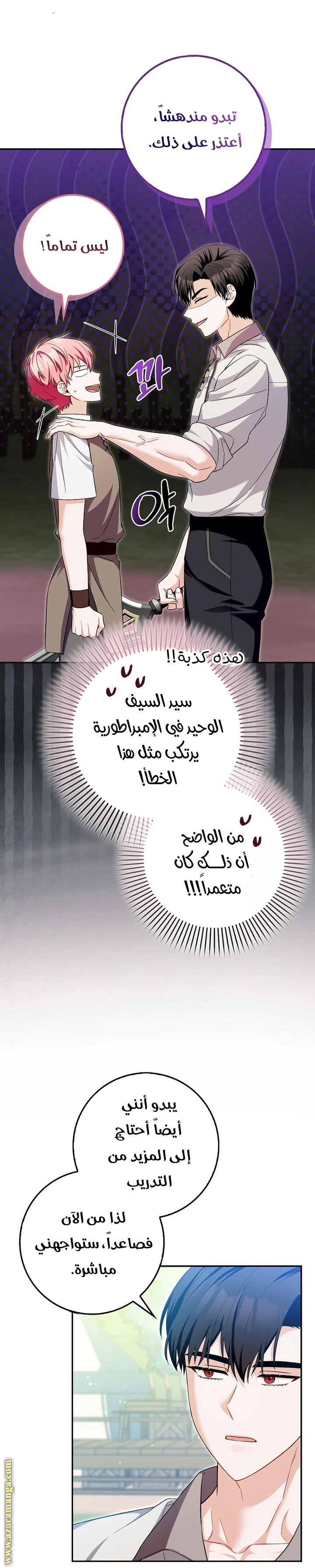الصفحة 13