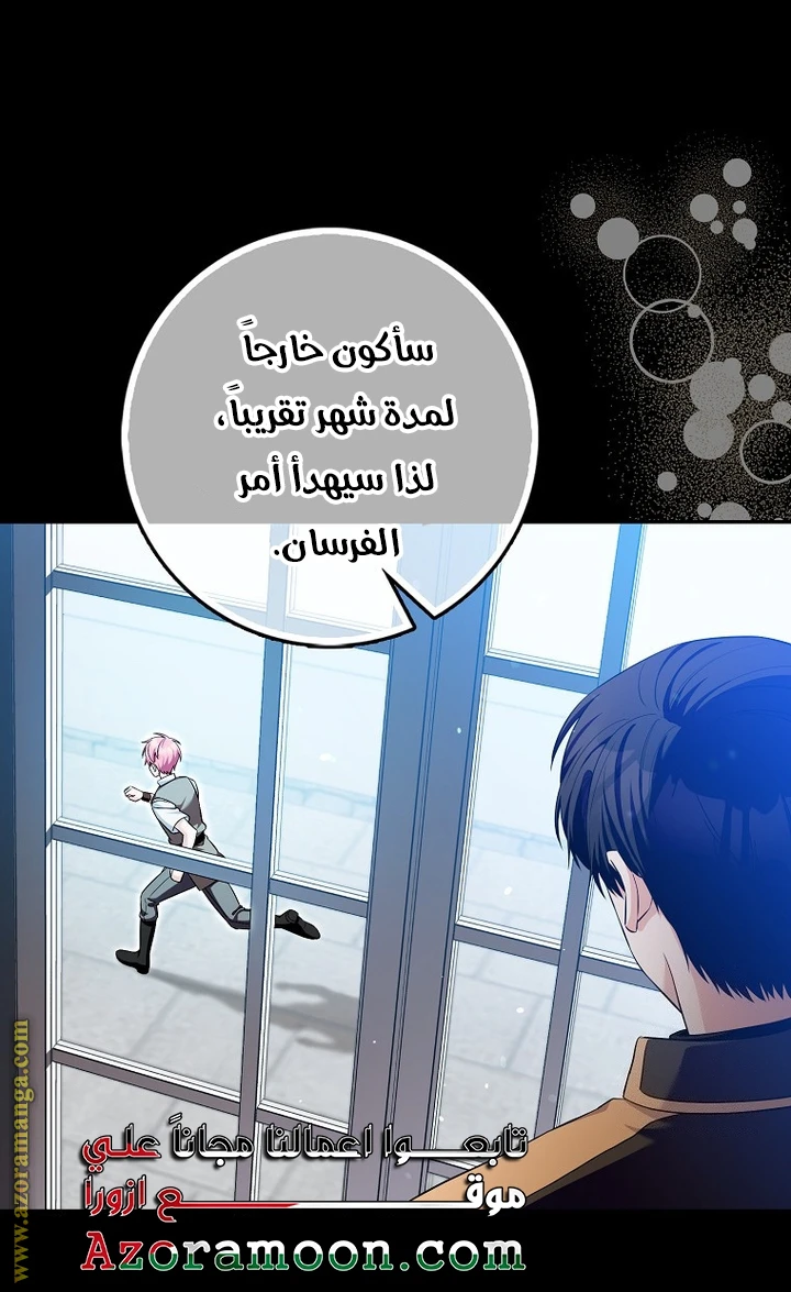الصفحة 19