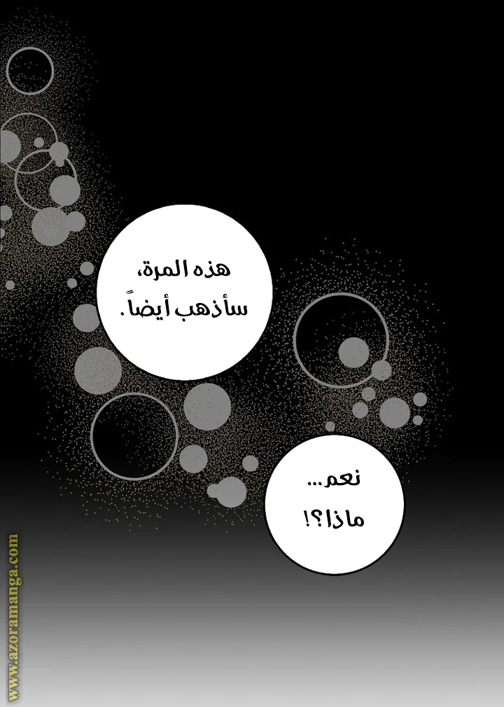 الصفحة 20
