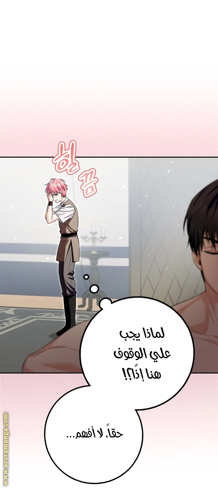 الصفحة 27