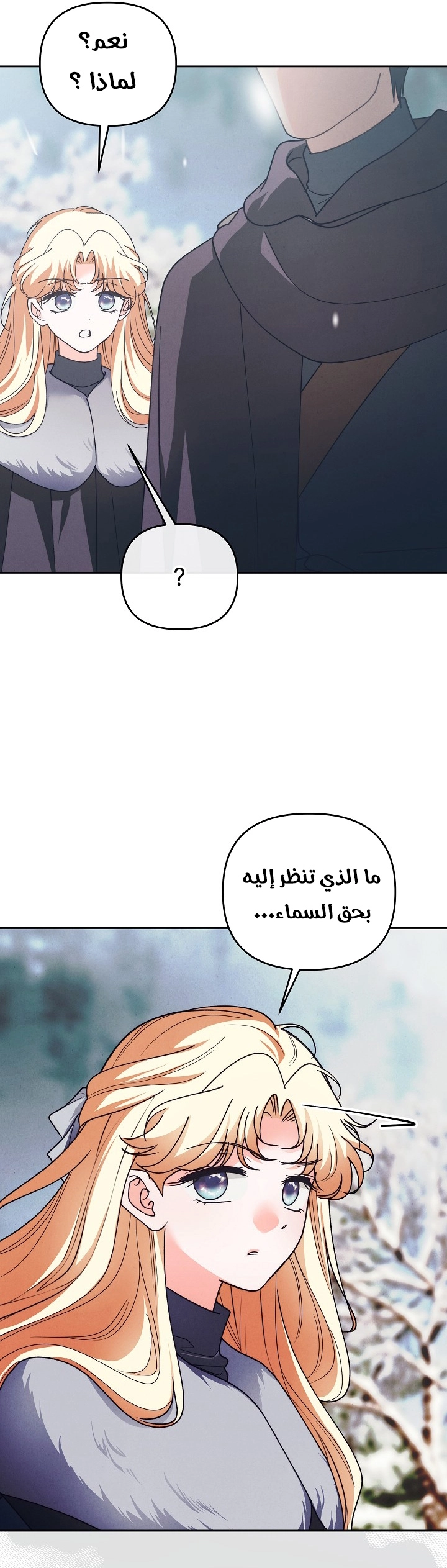 الصفحة 19