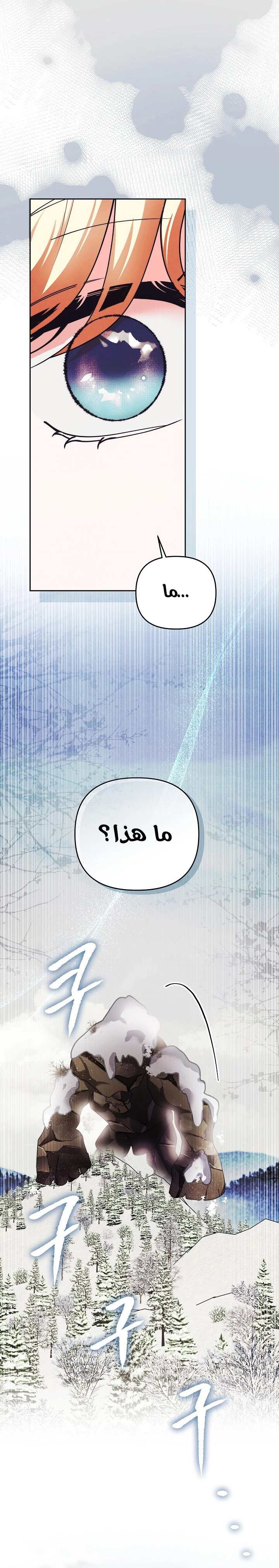 الصفحة 20