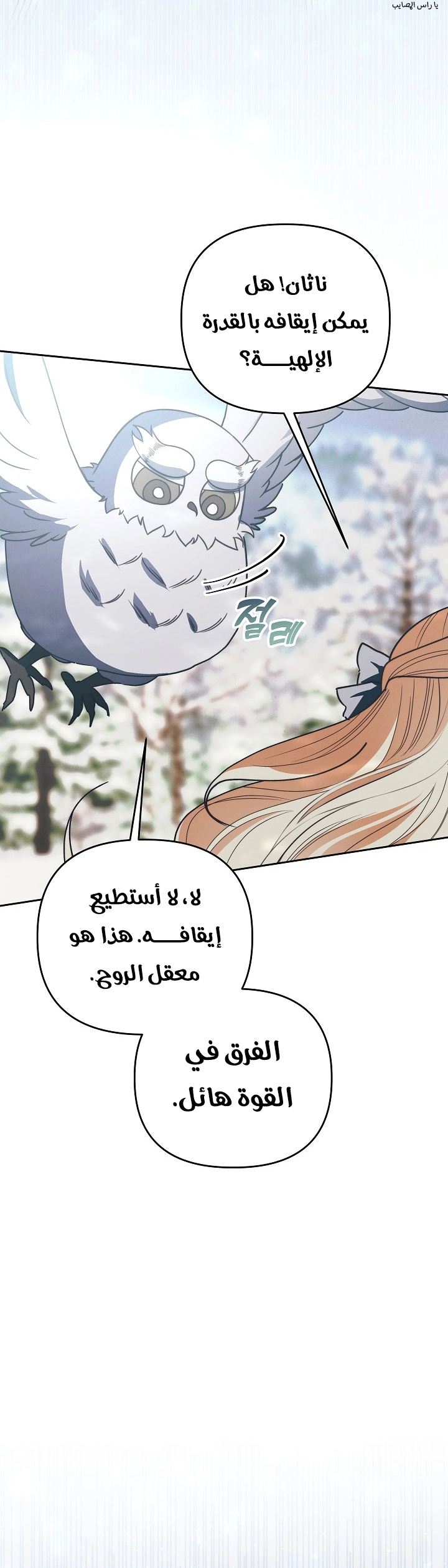 الصفحة 26