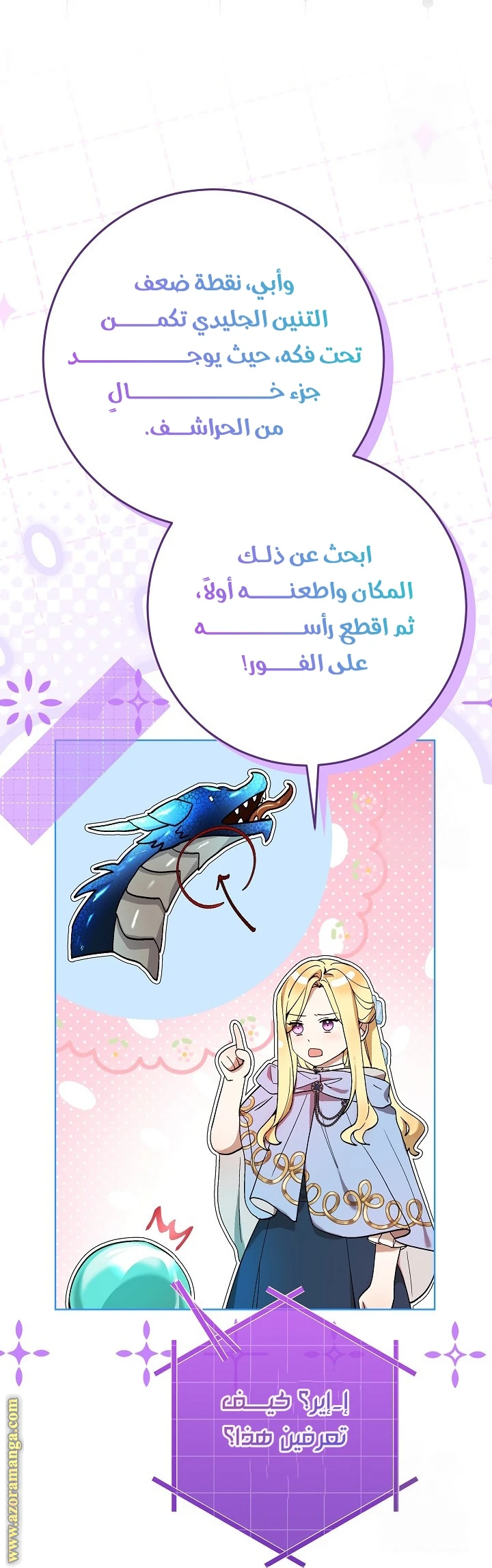 الصفحة 5