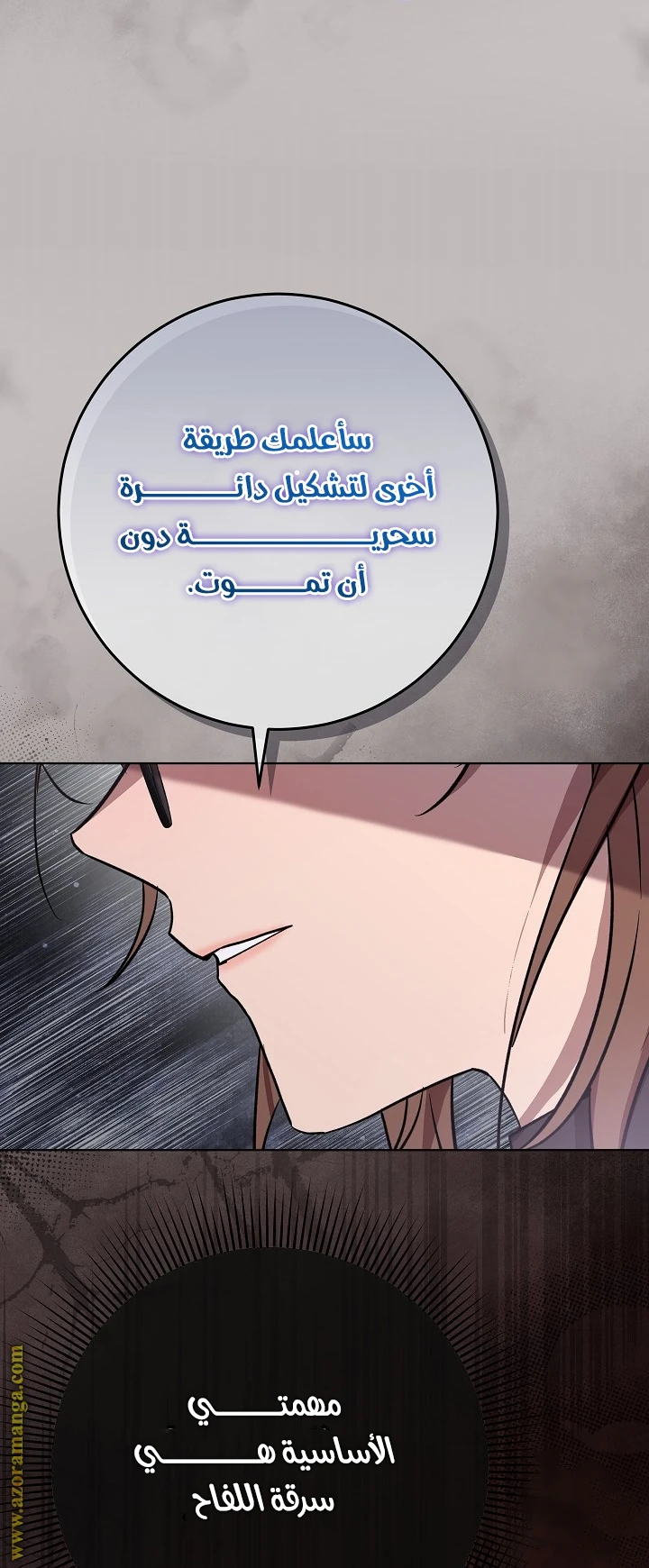 الصفحة 41
