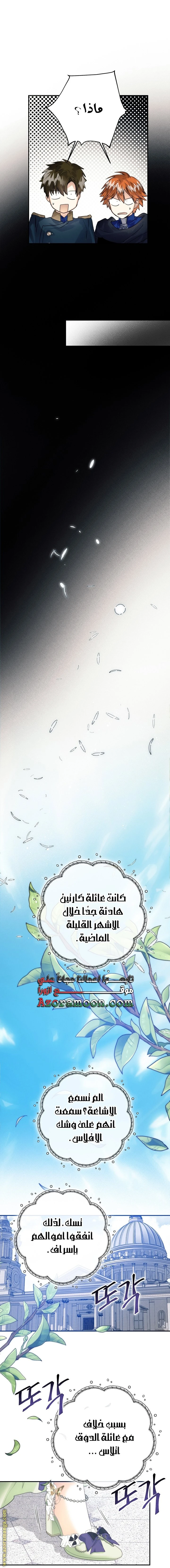 الصفحة 29