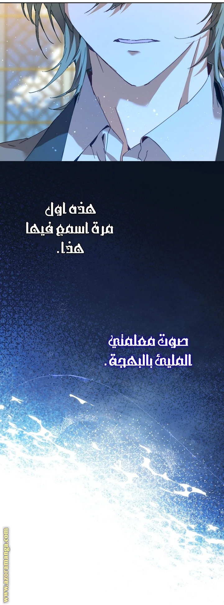 الصفحة 17