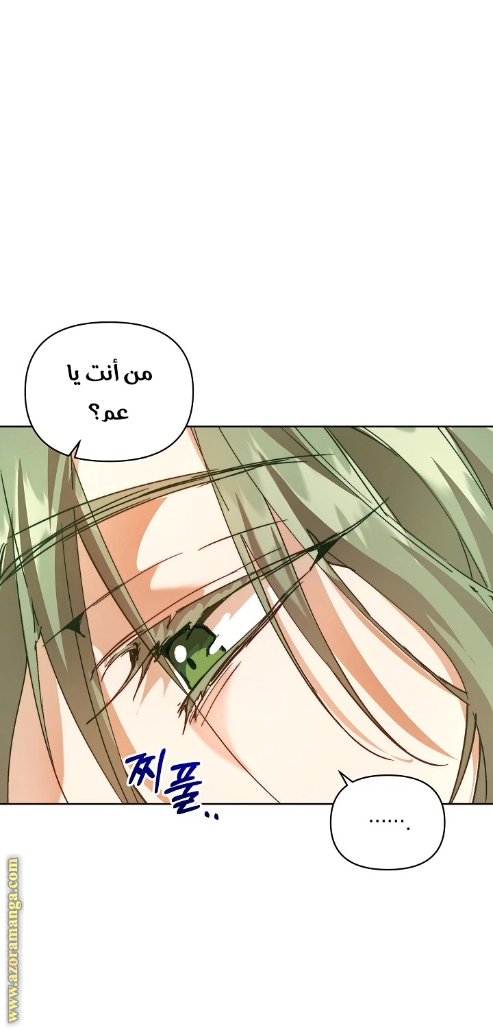 الصفحة 31