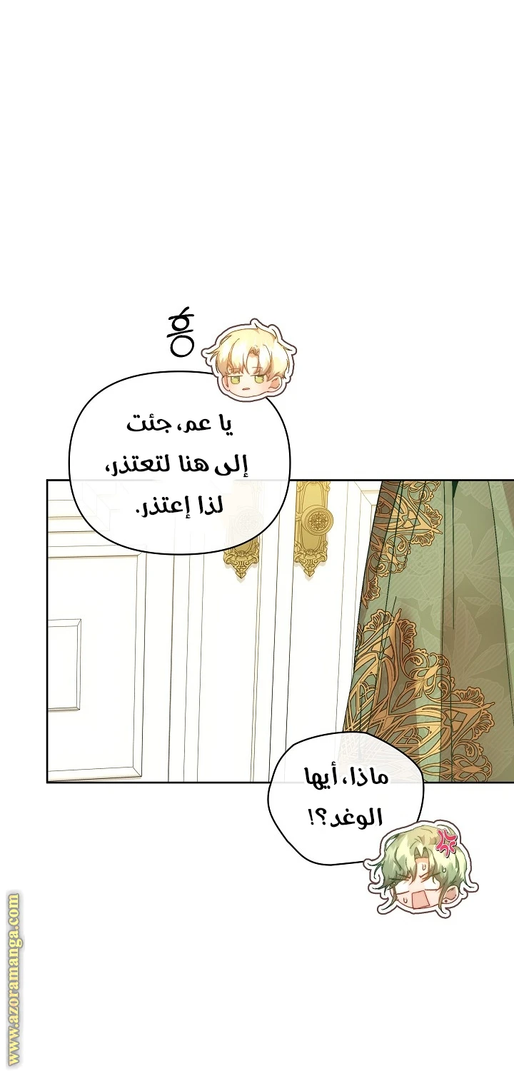 الصفحة 41
