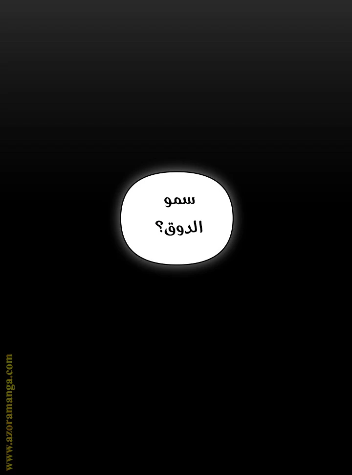 الصفحة 80