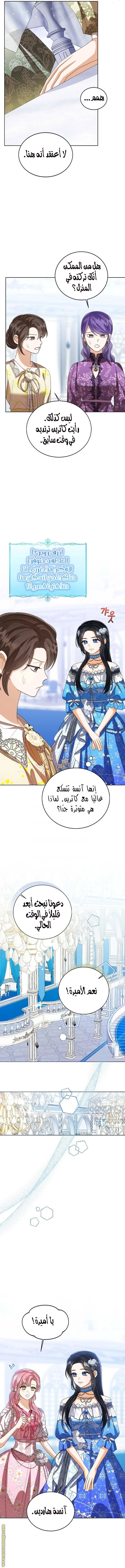 الصفحة 6
